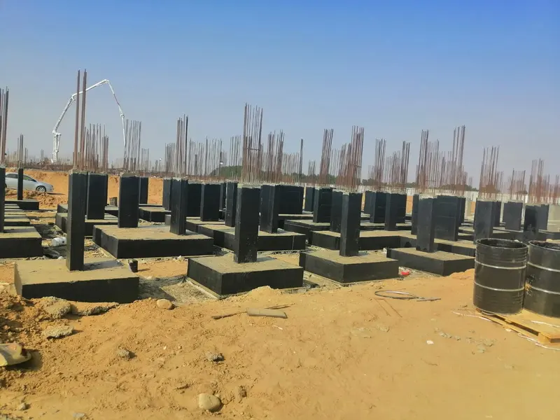 مشروع الإسكان التنموي